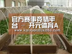 环境展示五