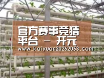 环境展示六