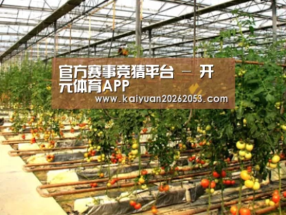 种植基地二(图1)