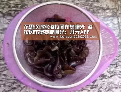 开元娱乐