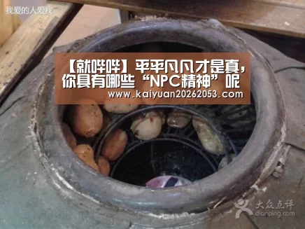 【就哔哔】平平凡凡才是真,你具有哪些“NPC精神”呢?_开元APP(图1) 开元APP