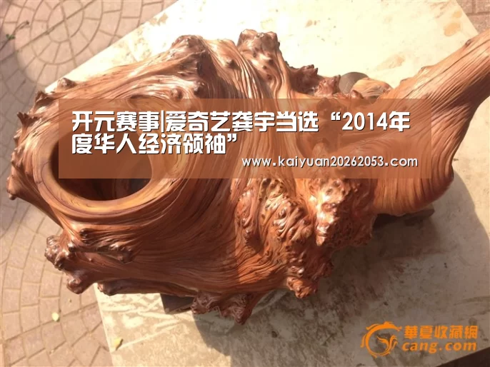 开元赛事|爱奇艺龚宇当选“2014年度华人经济领袖”(图4) 开元赛事